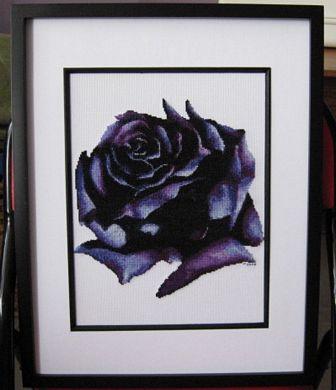 (image for) Dark Rose